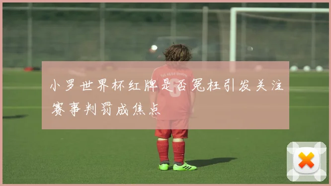 小罗世界杯红牌是否冤枉引发关注 赛事判罚成焦点