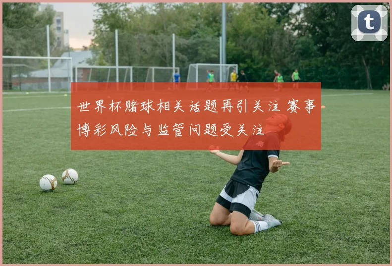 世界杯赌球相关话题再引关注 赛事博彩风险与监管问题受关注