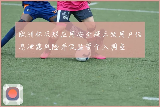 欧洲杯买球应用安全疑云致用户信息泄露风险并促监管介入调查