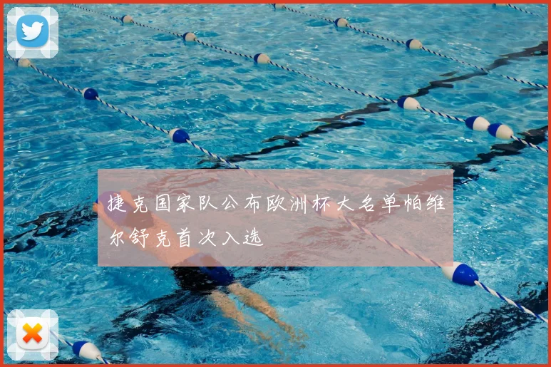 捷克国家队公布欧洲杯大名单帕维尔舒克首次入选