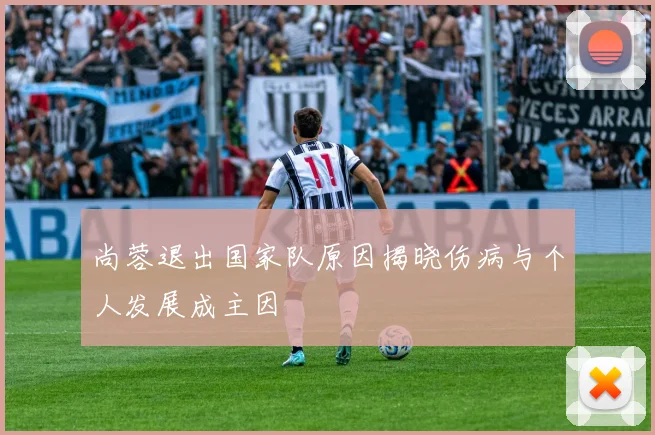 尚蓉退出国家队原因揭晓伤病与个人发展成主因