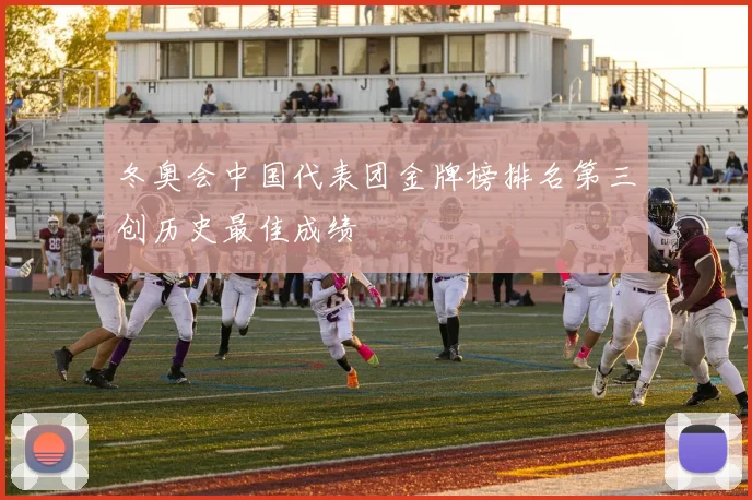 冬奥会中国代表团金牌榜排名第三创历史最佳成绩